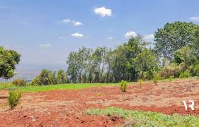 Ikibanza Kigurishwa Rebero 50 millions