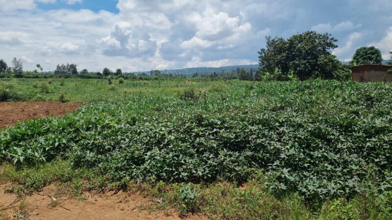 Plot for sale kigali masaka