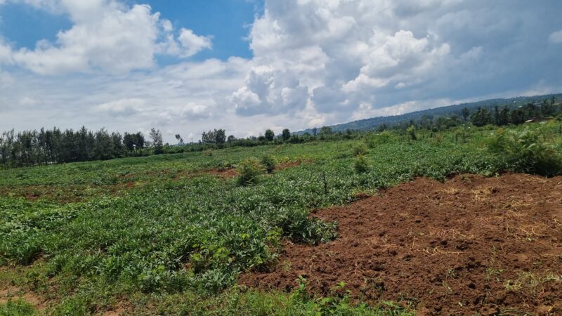 Plot for sale kigali masaka