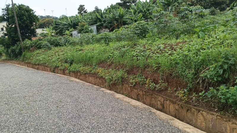 Plot for sale kinyinya