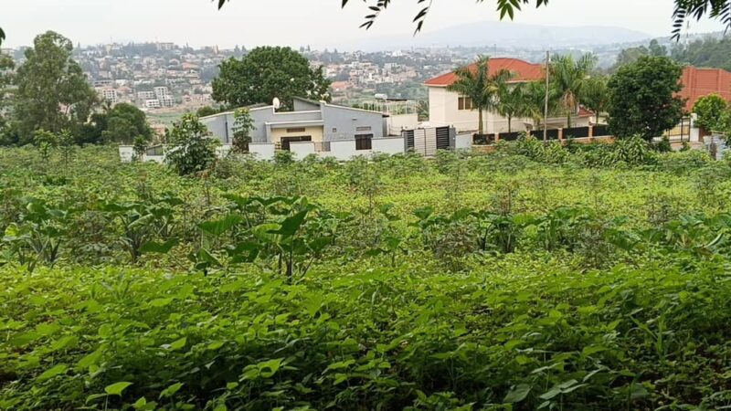 Plot for sale kinyinya