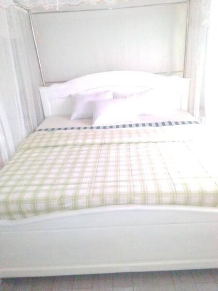 Beautiful house for rent full furnished sonatube