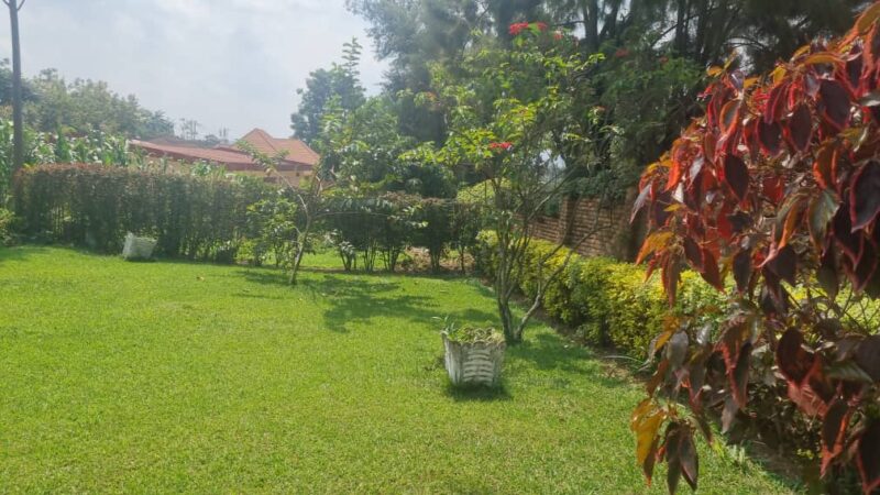 Commercial property for sale remera