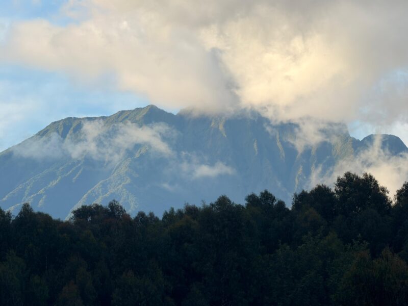 Plot for sale MUSANZE KINIGI