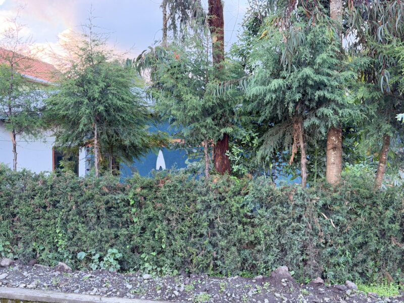 Plot for sale MUSANZE KINIGI