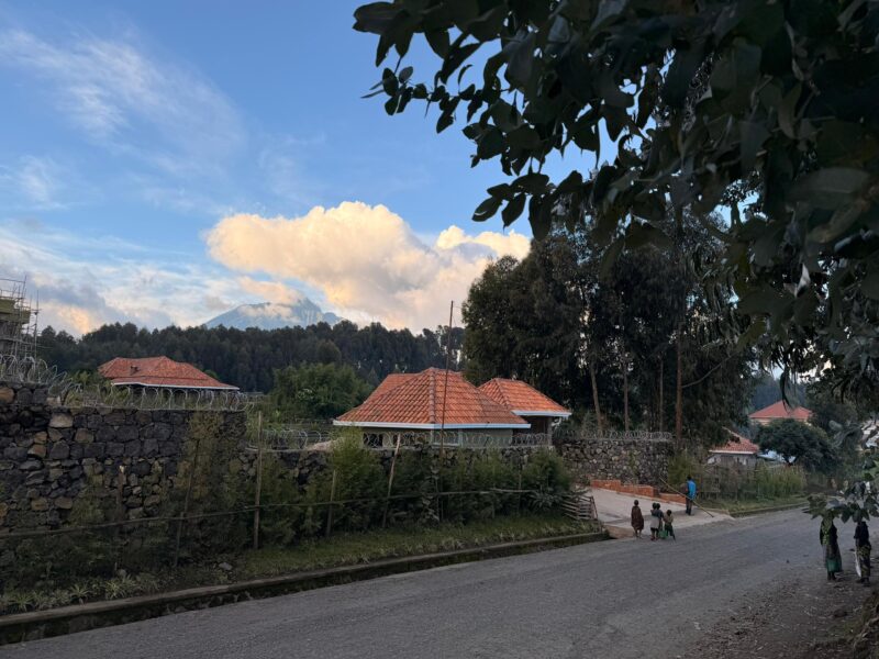 Plot for sale MUSANZE KINIGI