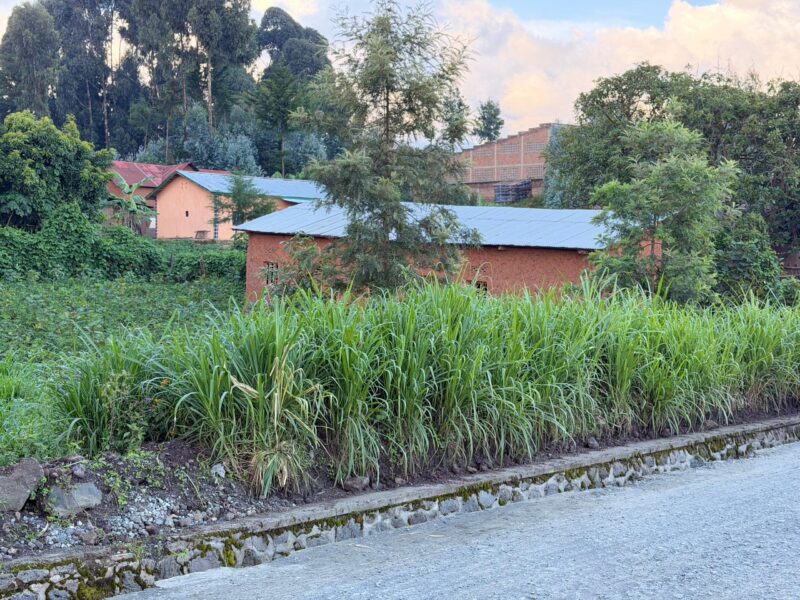 Plot for sale MUSANZE KINIGI