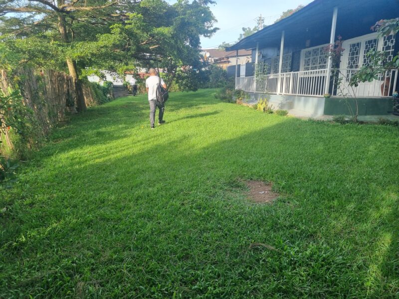 Remera old house with big plot for sale