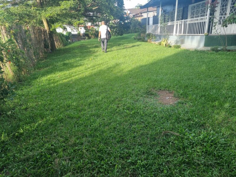 Remera old house with big plot for sale