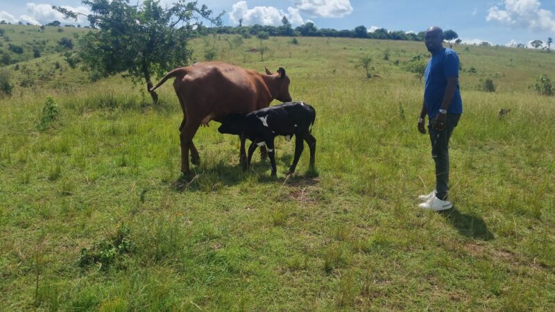 Farm for sale location kayonza