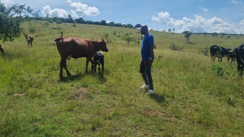 Farm for sale location kayonza