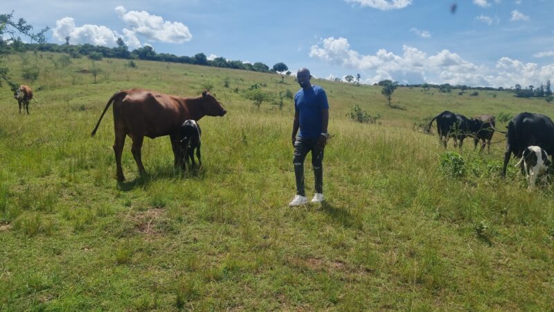 Farm for sale location kayonza