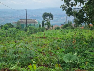 Norvege plot for sale 2000sqm