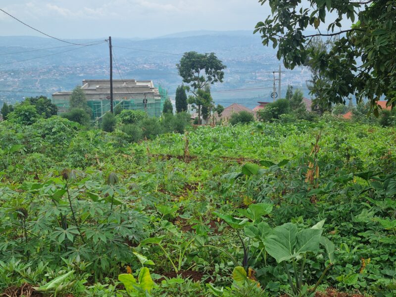 Norvege plot for sale 2000sqm