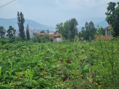 Norvege plot for sale 2000sqm