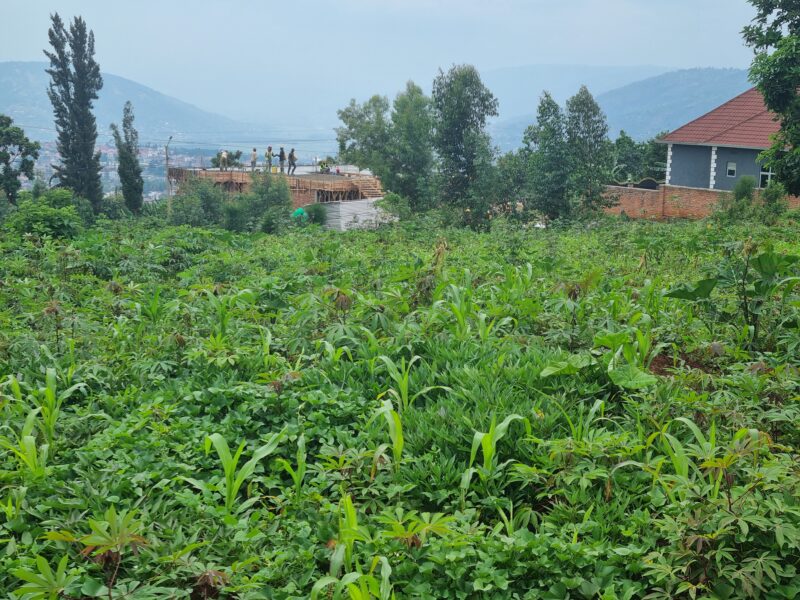 Norvege plot for sale 2000sqm