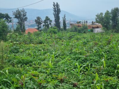 Norvege plot for sale 2000sqm