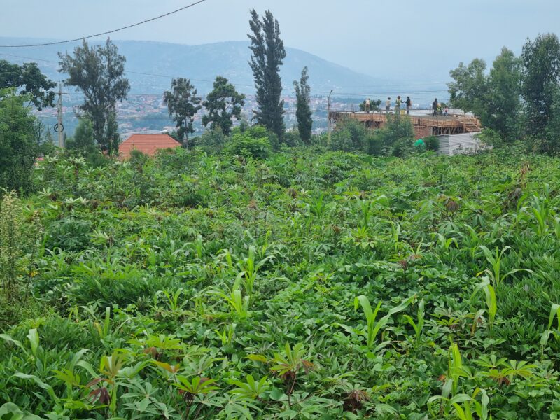 Norvege plot for sale 2000sqm