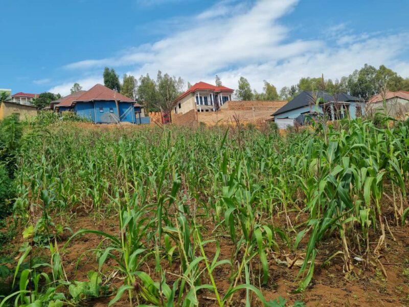 Kicukiro murambi land for sale