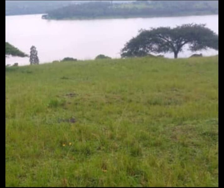MUHAZI RWAMAGANA LAND FOR SALE