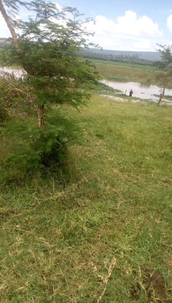 MUHAZI RWAMAGANA LAND FOR SALE