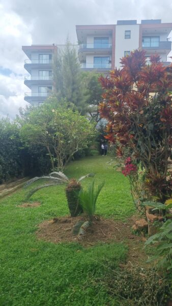 Nyarutarama old house with big plot for sale