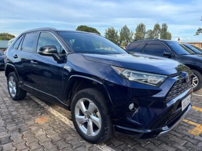 Rava 4 hybrid 2021 for sale