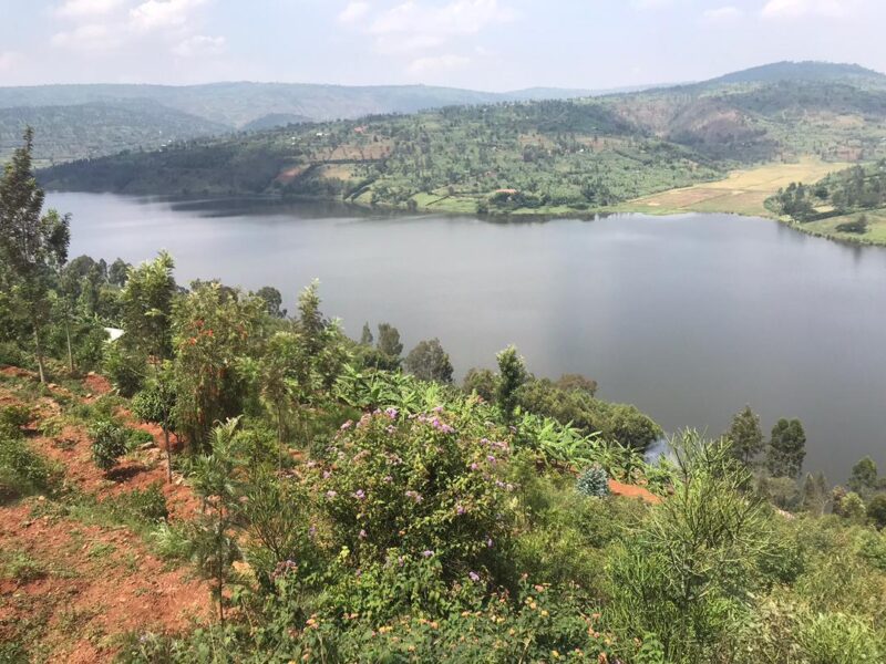 Muhazi gicumbi land for sale nó135