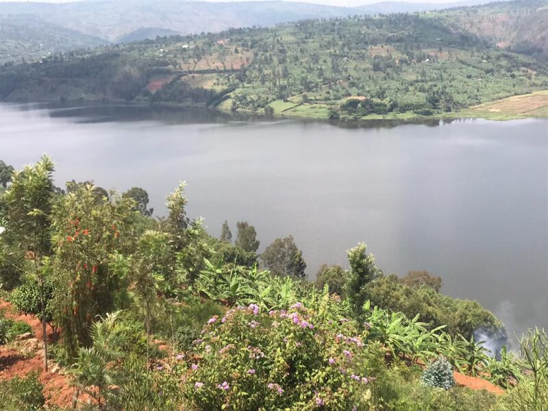 Muhazi gicumbi land for sale nó135