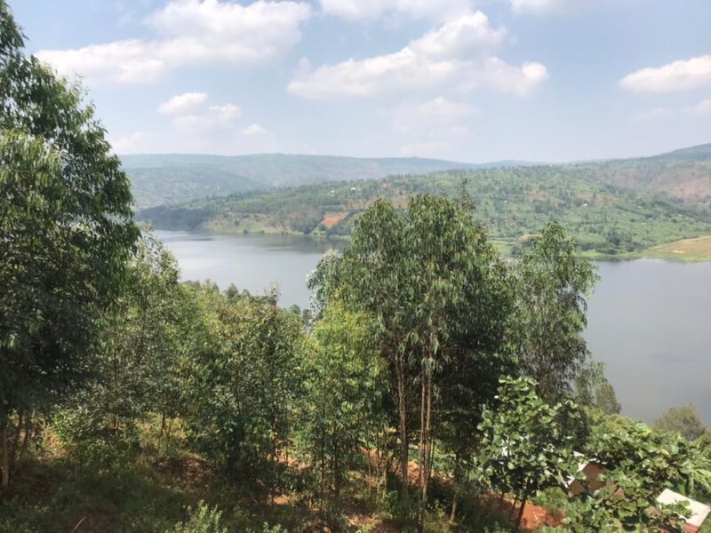 Muhazi gicumbi land for sale nó135