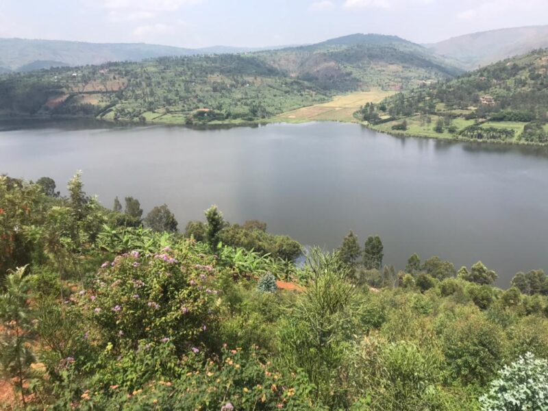Muhazi gicumbi land for sale nó135