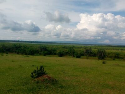 80hactares for sale Kayonza ndego