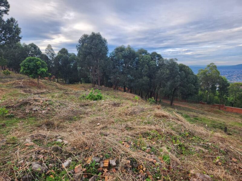 Rebero 2.5hactare plot for sale