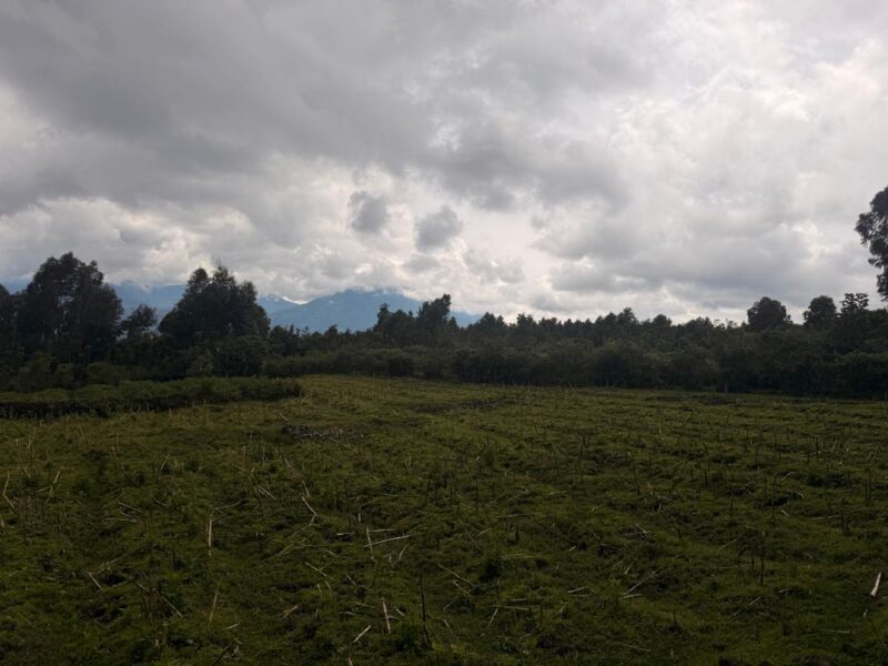 Musanze land for sale in kinigi