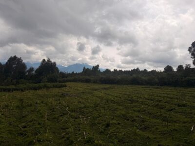 Musanze land for sale in kinigi