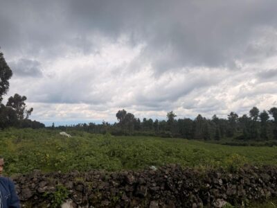 Musanze land for sale in kinigi
