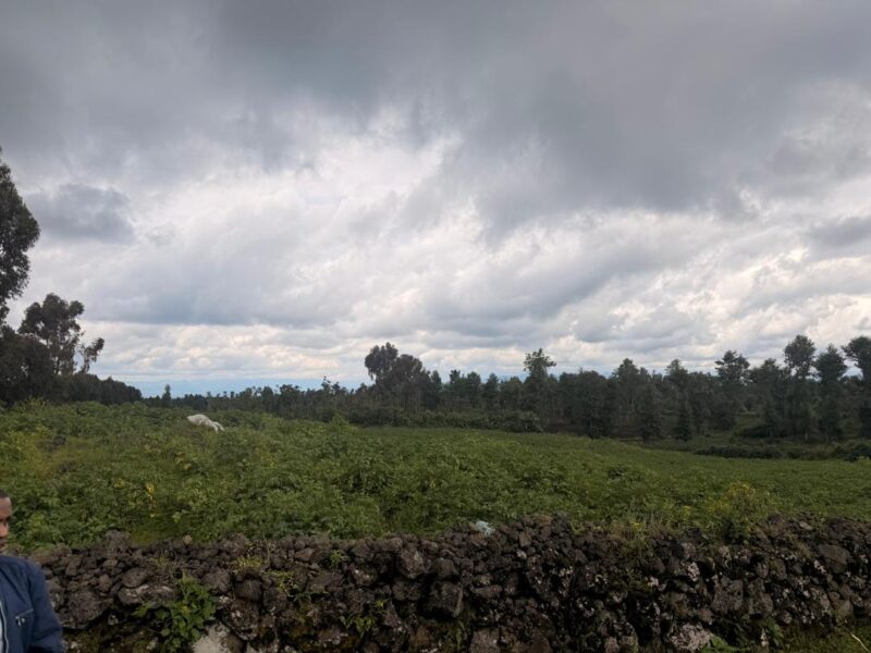 Musanze land for sale in kinigi