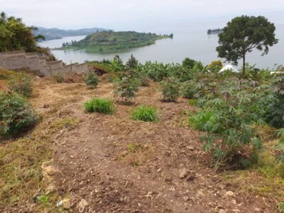 residential plot for sale Rubavu