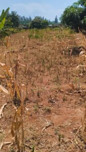 beutiful land for sale at ndera
