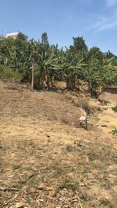 Kibuye land for sale nice for hotel business